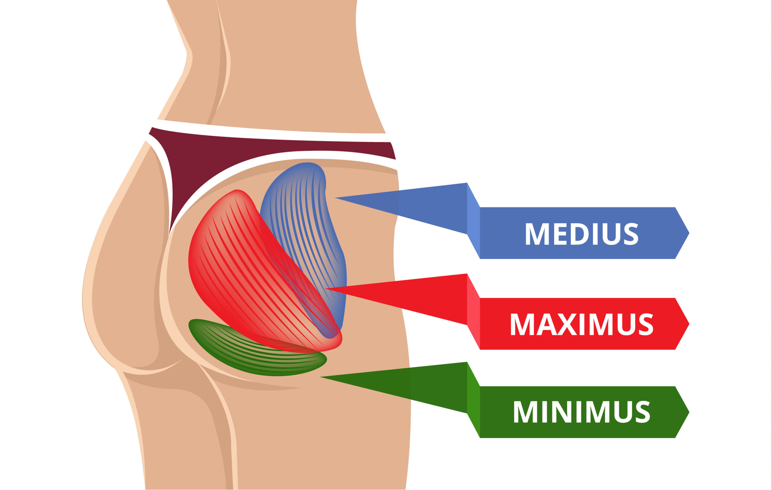 {{city}} Glute Toning-Medina-WA